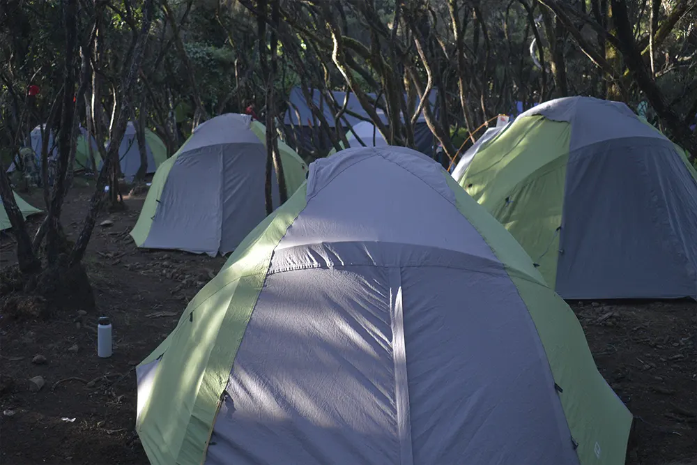 Mweka Campsite